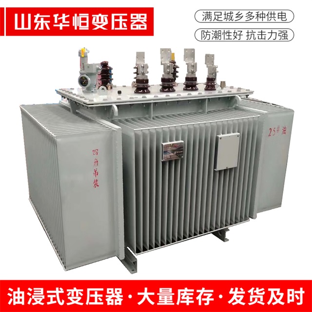 S13-10000/35邻水邻水邻水电力变压器厂家