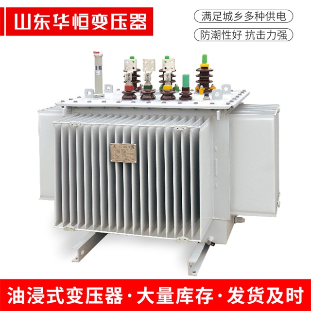 S13-10000/35邻水邻水邻水电力变压器
